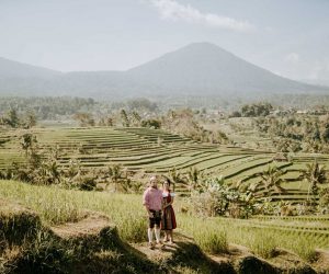 Rice Paddy Wedding